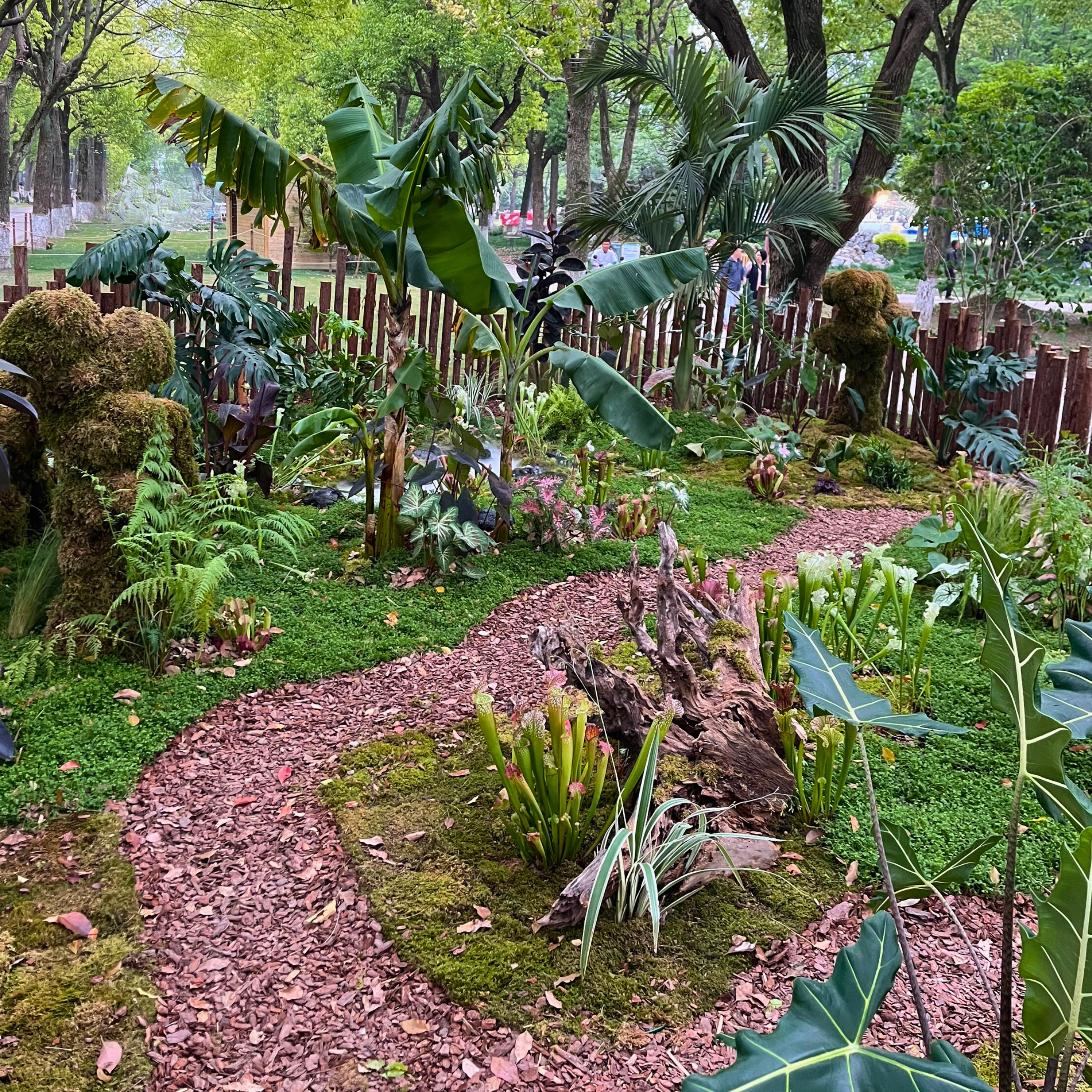 Shade-Friendly Garden