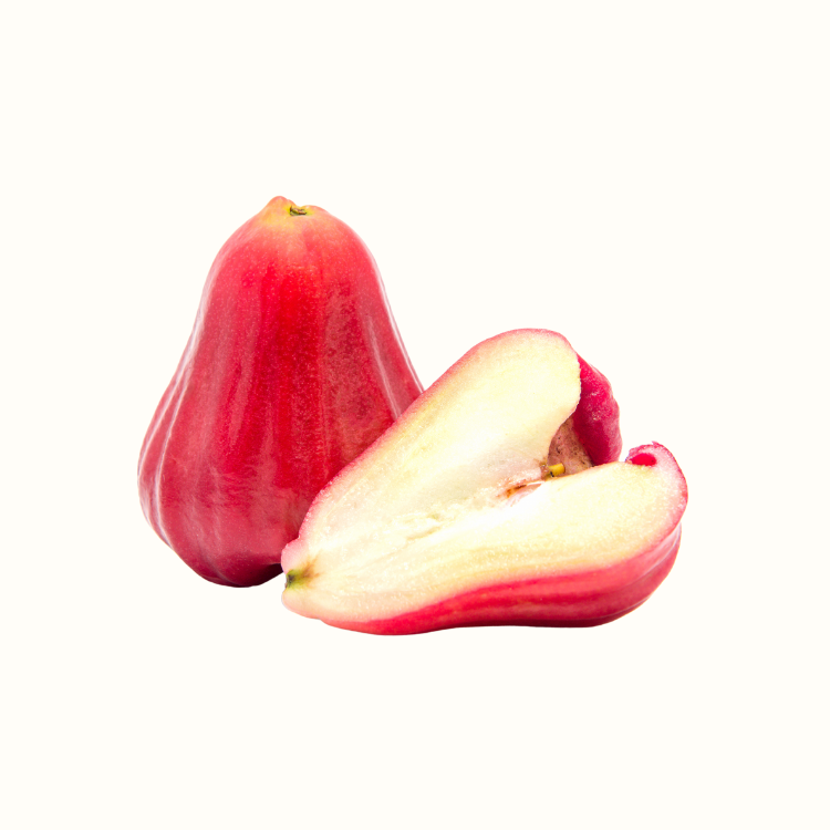 Wax apple fruit close-up showing glossy bell shape