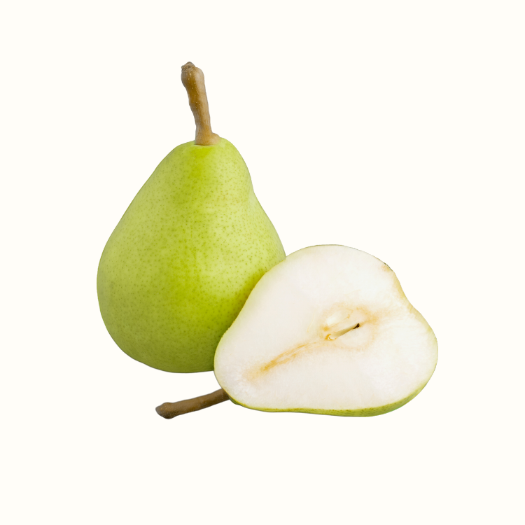 pear fruit close up on tree branch