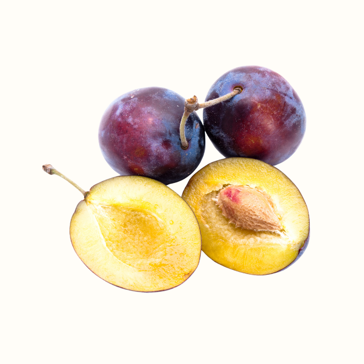 Ripe purple-red stone fruit close-up on branch with natural waxy bloom