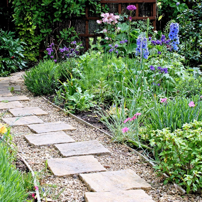 English cottage-style garden border with roses, lavender, hydrangea, and layered perennials in soft romantic colors