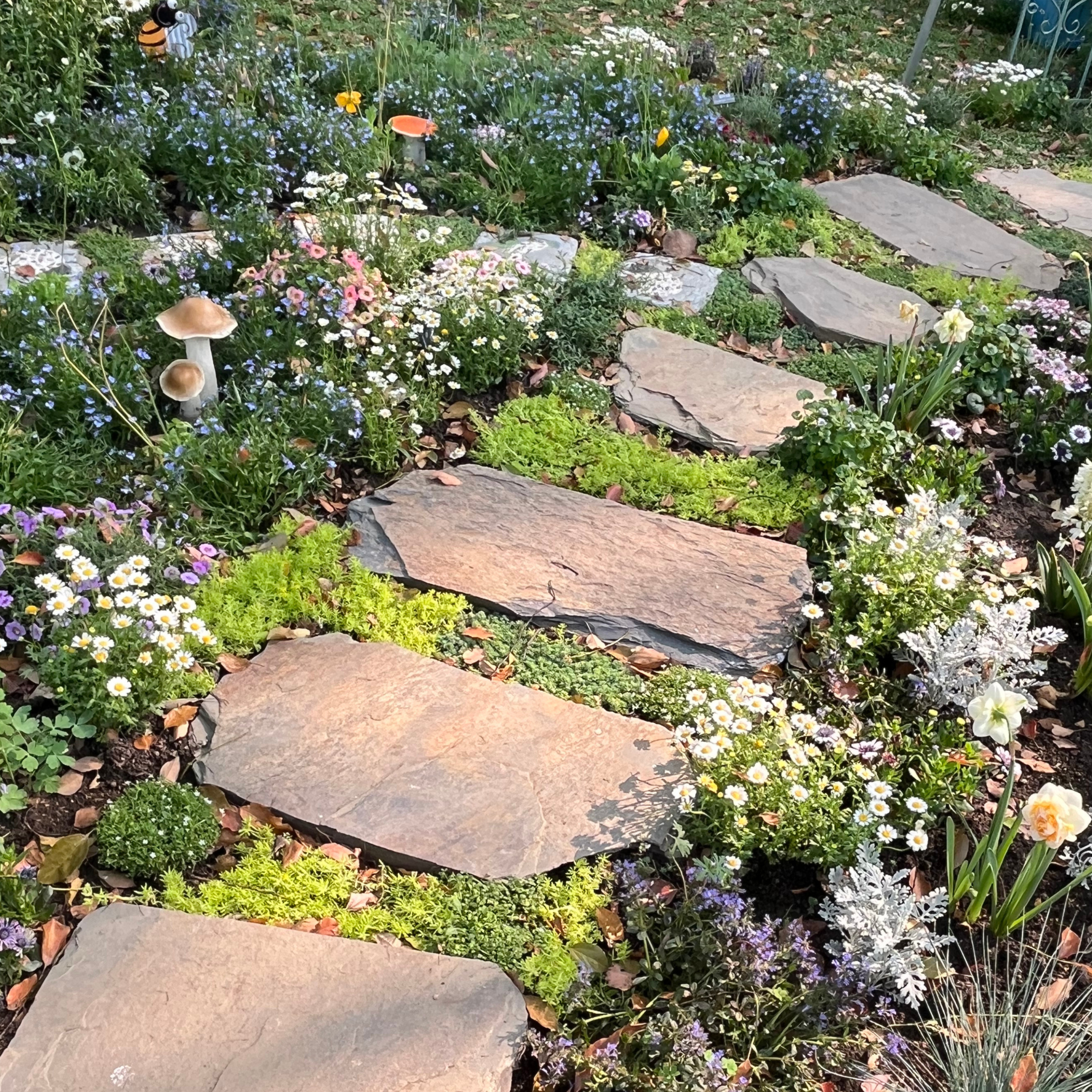 1989年Ground Cover Plants 地被植物 造園 ランドスケープ 加州花园地被植物精选| 低维护景观植物– Victory Nursery