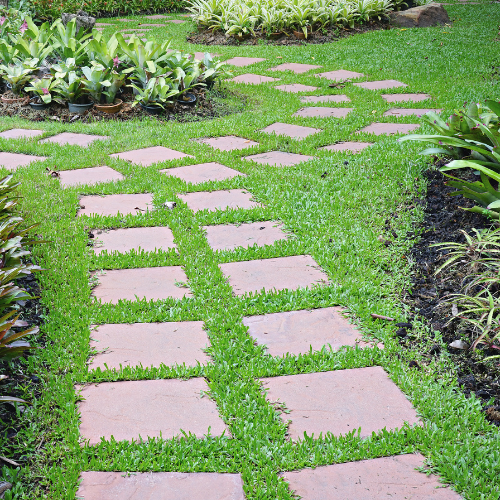Groundcover plants used in a low-maintenance California landscape garden