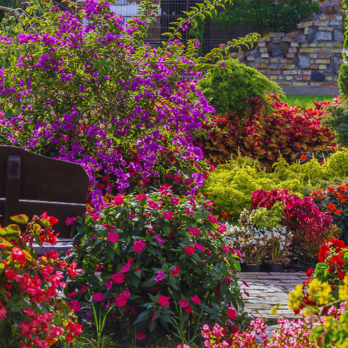 Perennial plants adding year-round color and texture in a California garden landscape
