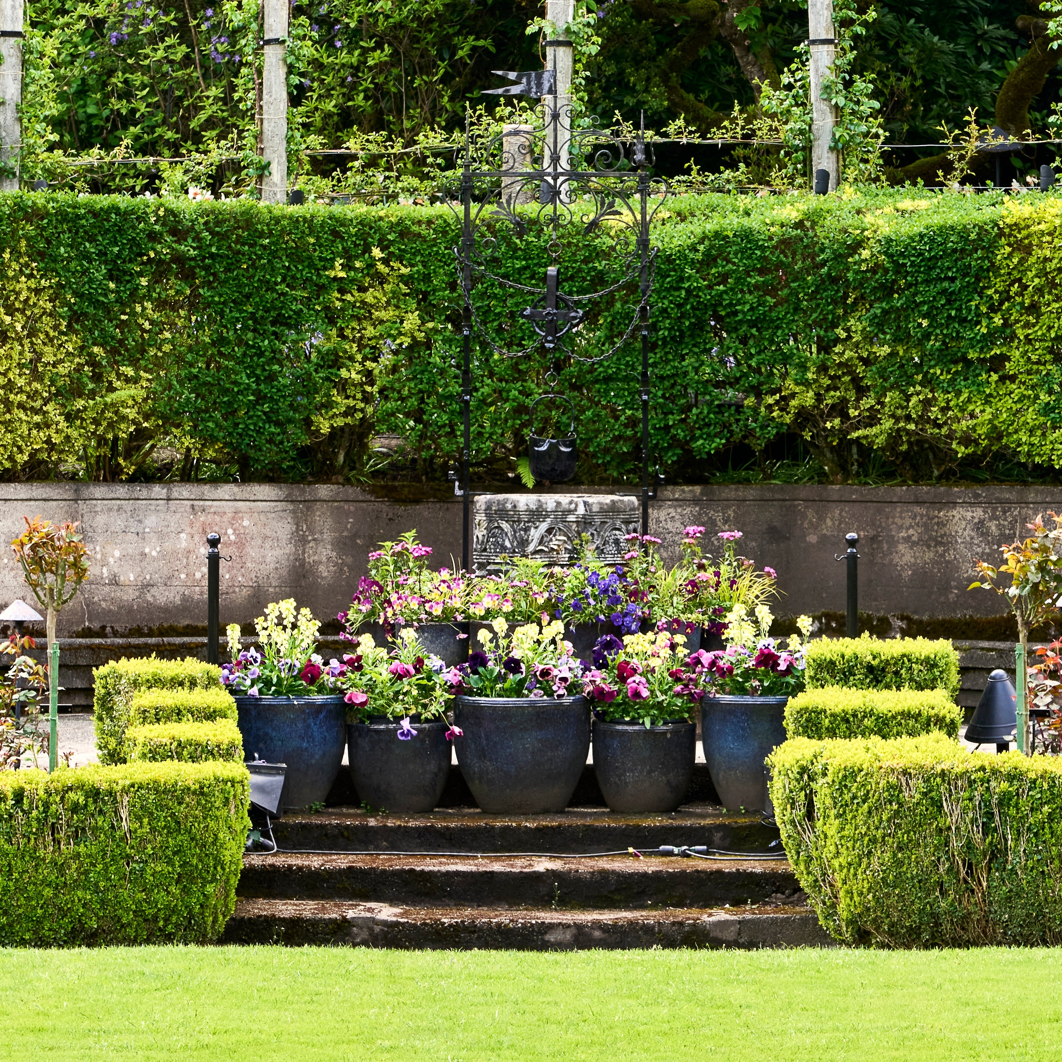 ree planting service in a Bay Area backyard with proper staking and mulch ring