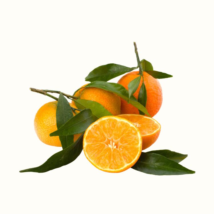 Close up of ripe mandarin citrus fruit