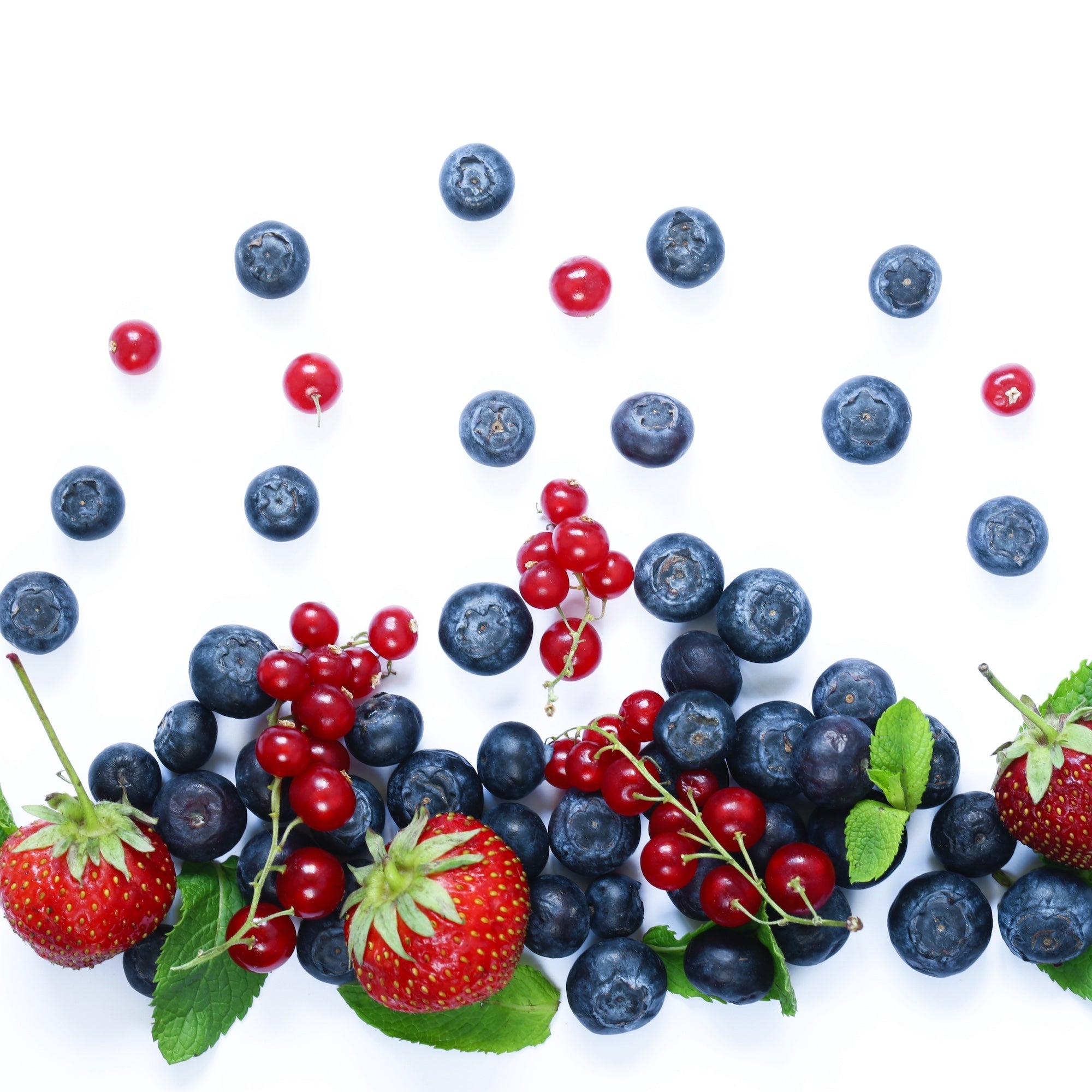 Berries in victory nursery