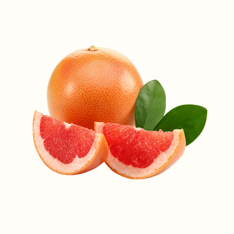 Close-up of ripe grapefruit on a citrus tree with glossy green leaves