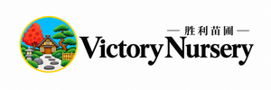 Victory Nursery - 主页
