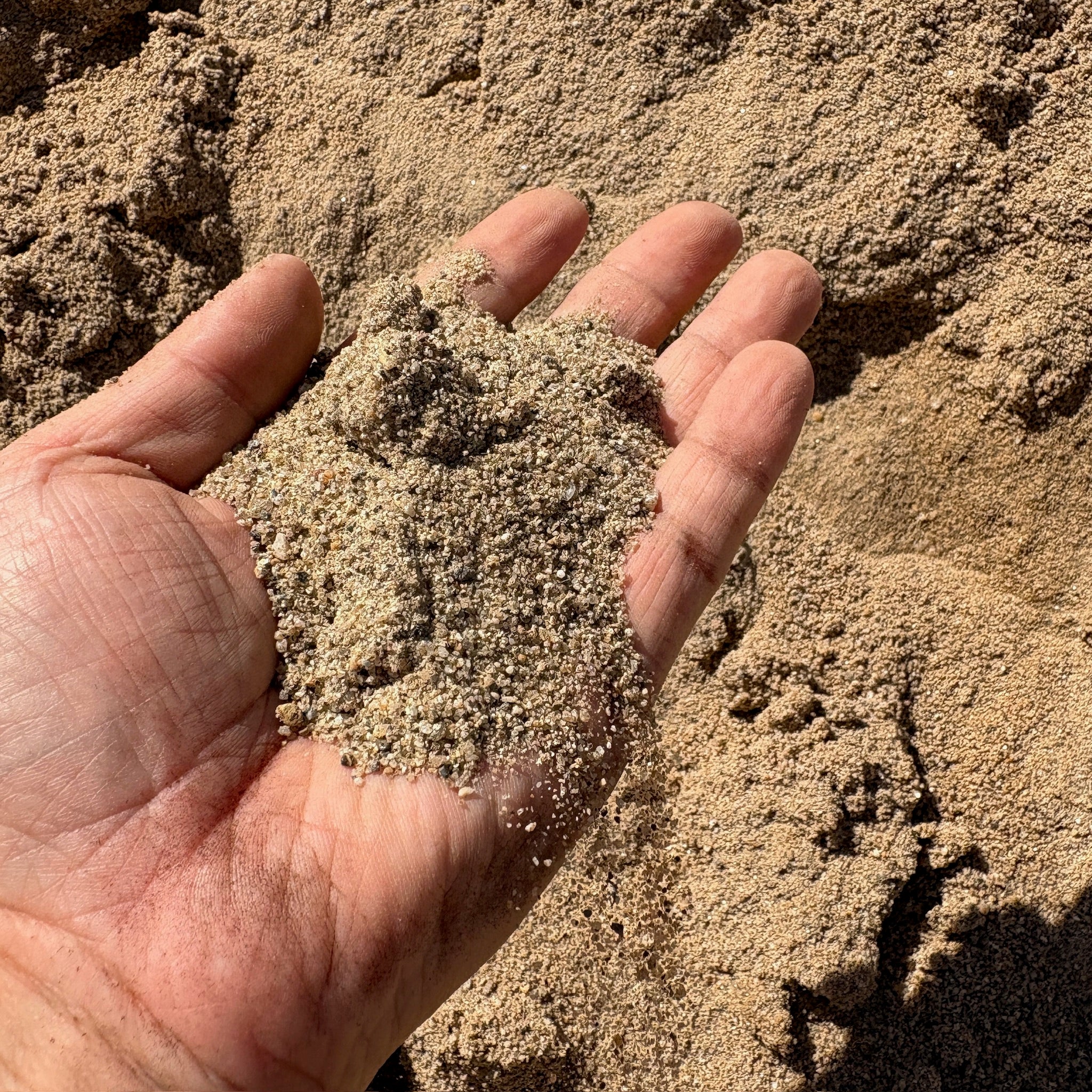 Hand holding Coarse Sand with a sandy background