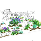 Garden Design Service Schematic drawing of a garden layout with plants and a house in the background.