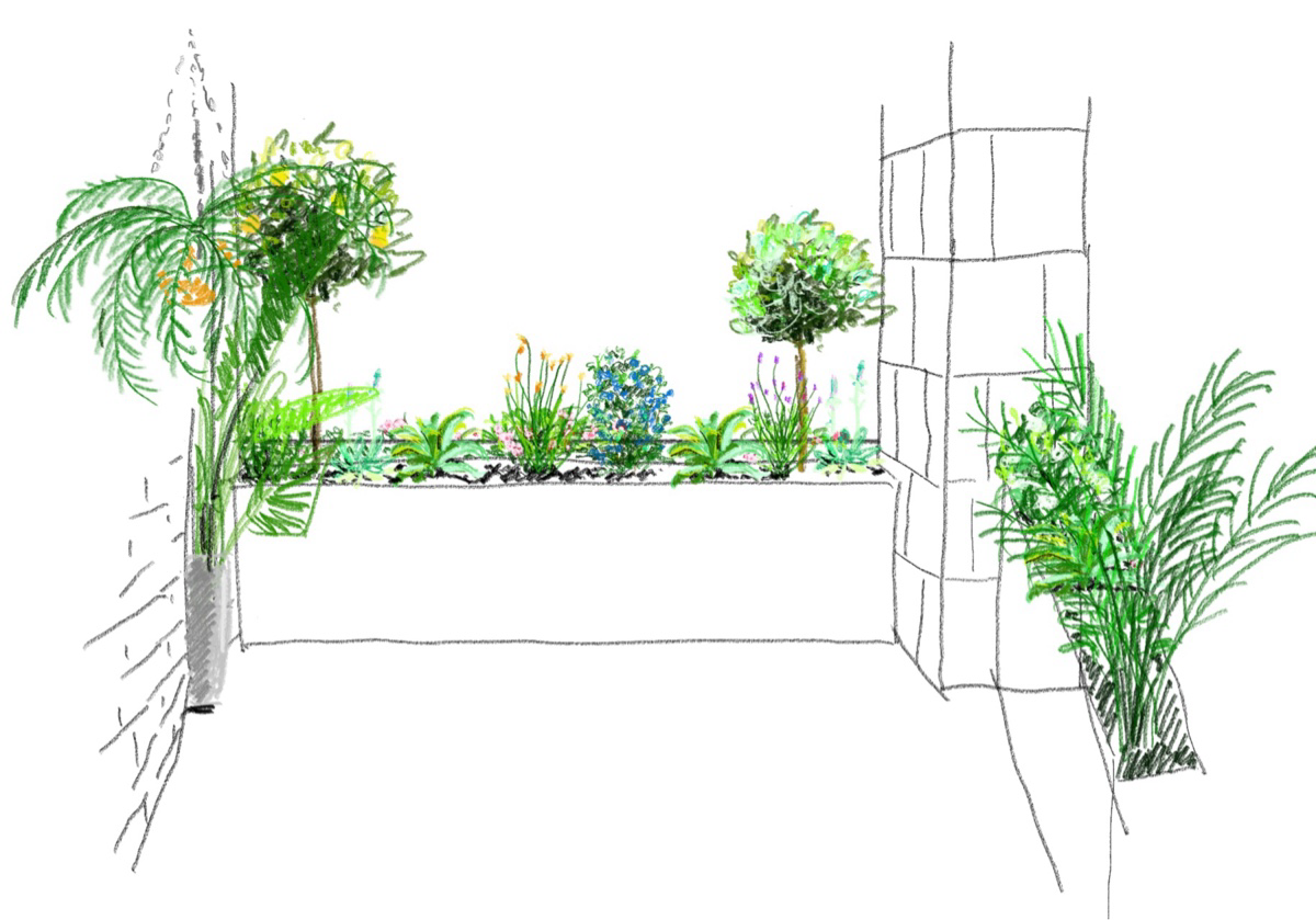 Garden Design Service Schematic design of a garden layout with plants and structures.