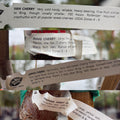 Collage of different cherry variety labels on a  3-N-1 Sweet  Cherry tree