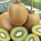 Kiwi_Magic_Kiwi_Combination