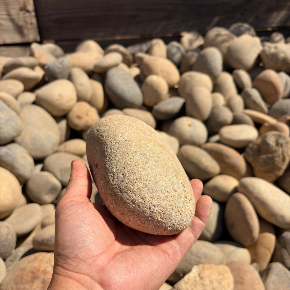 Hand holding a Large River Rock with a background of pebbles