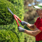 Person trimming a bush with garden shears in a garden setting