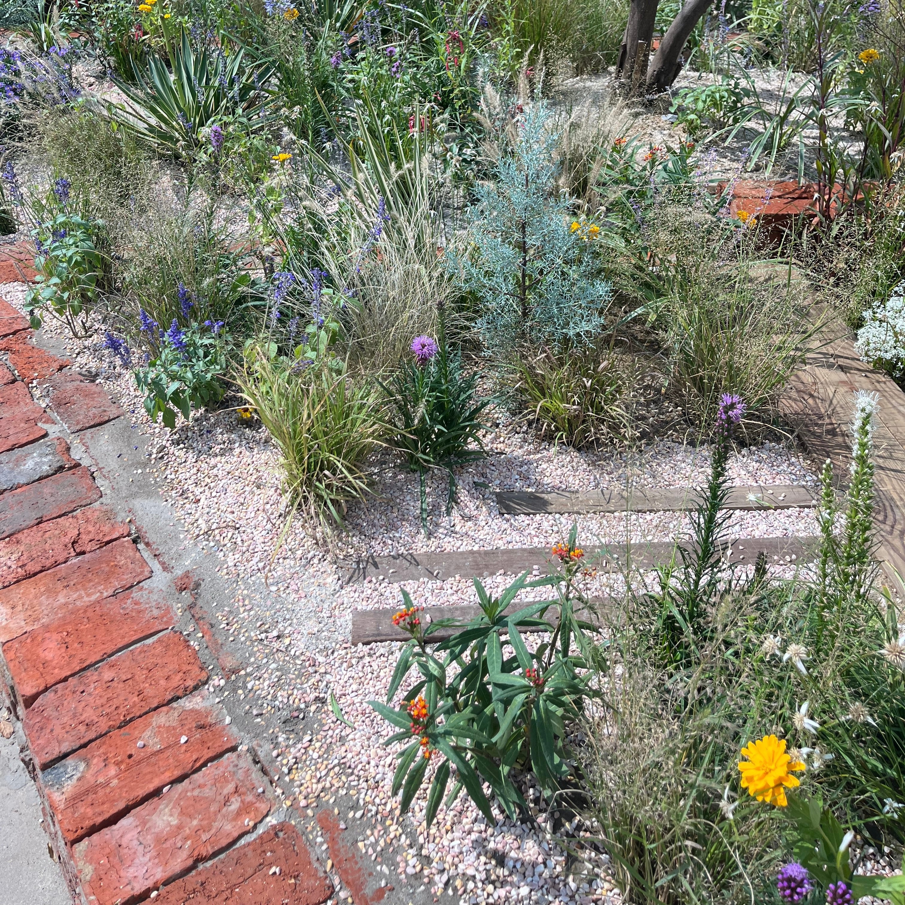 Garden with a variety of plants and flowers, including a brick path.