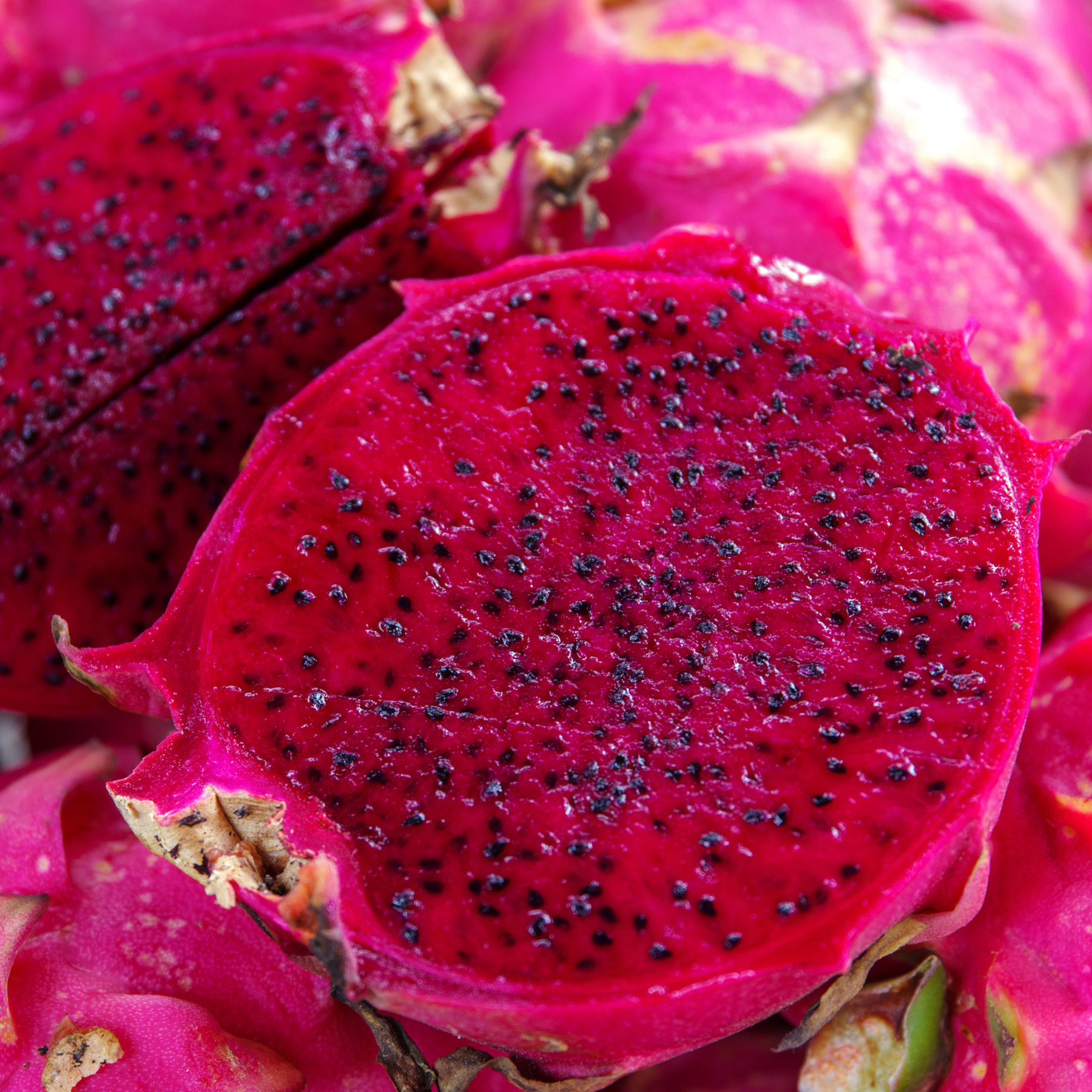 Taiwan Red Dragon Fruit