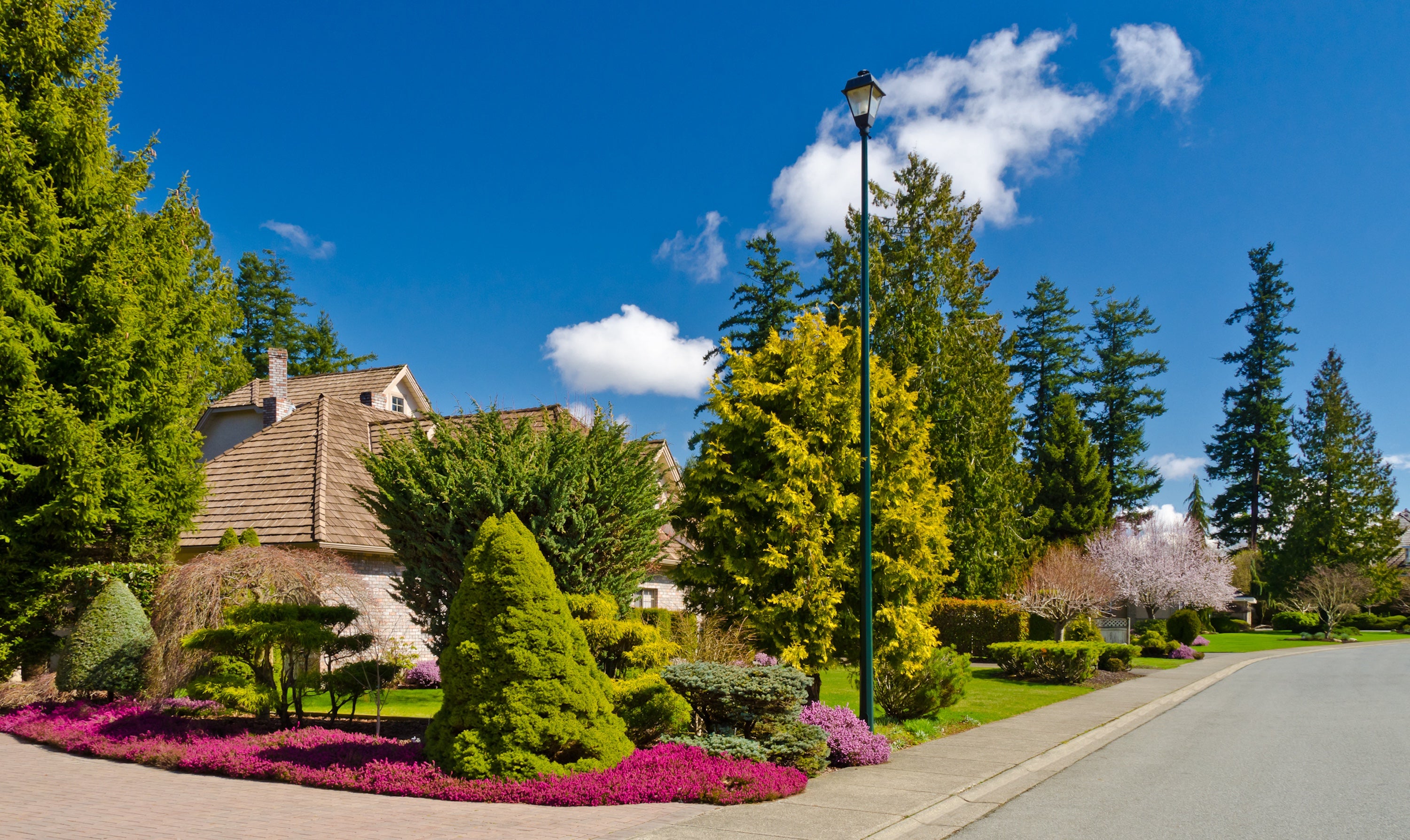 Neatly landscaped street with trees, flowers, and a clear blue sky.