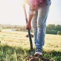 Person holding a shovel in a field with a blurred background tree planting