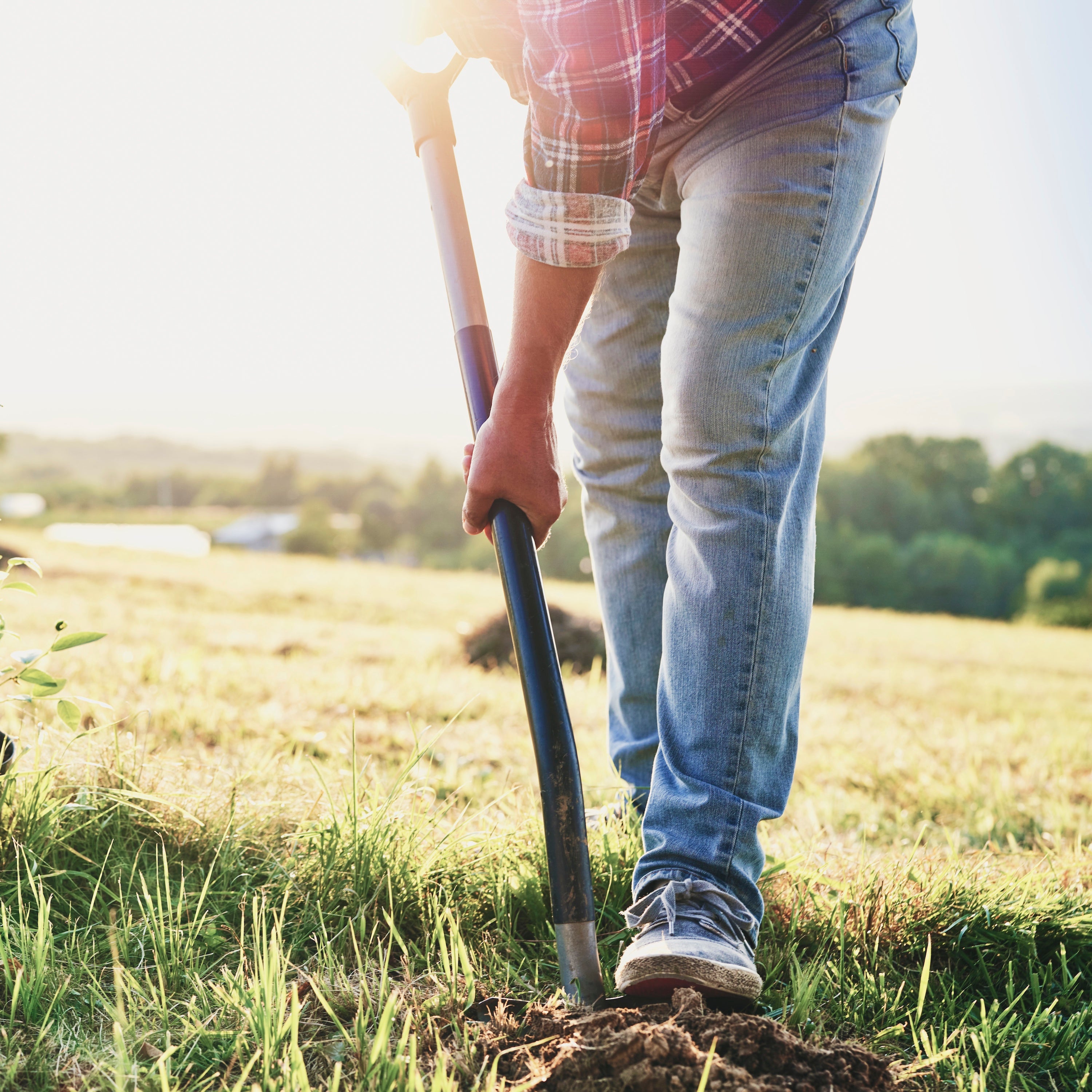 Person holding a shovel in a field with a blurred background tree planting